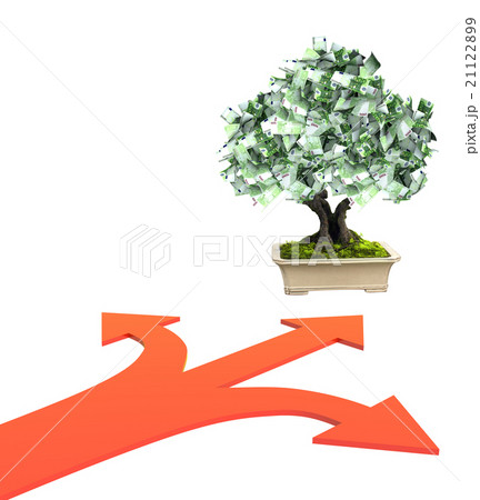 Money tree with euro banknotes 21122899
