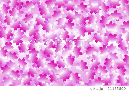 背景素材壁紙 フラワー サクラの木 さくら色 桜の花 満開 早春 ピンク 桃色 入学 卒業式 花びらのイラスト素材