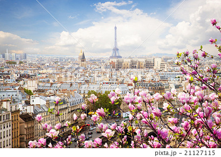 skyline of Paris with eiffel tower skyline of Paris with eiffel tower 21127115