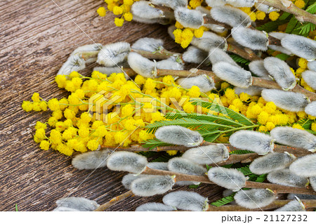French mimosa with catkins 21127232