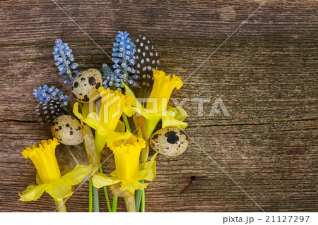 Muscari, daffodils and eggs Muscari, daffodils and eggs 21127297