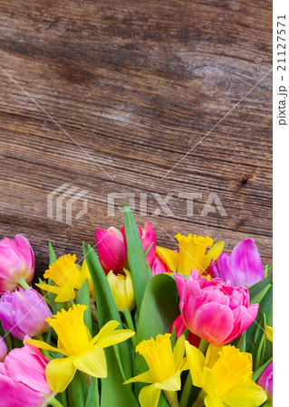 bouquet of tulips and daffodils bouquet of tulips and daffodils 21127571