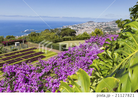 Famous Tropical Botanical Gardens Funchal, Madeira 21127821