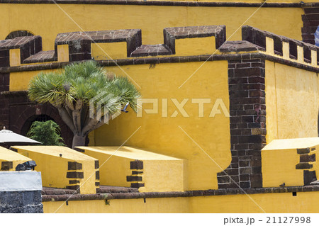 Funchal with the castle of Sao Tiago, Madeira  21127998