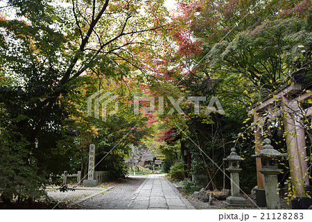 京都御苑　宗像神社 21128283