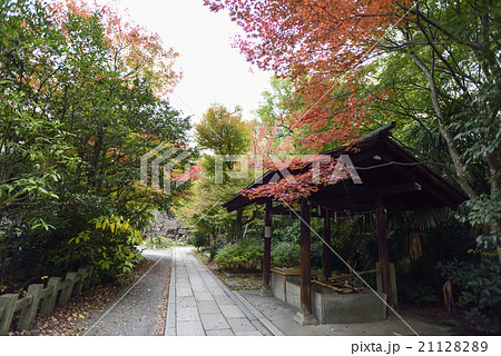 京都御苑　宗像神社 21128289