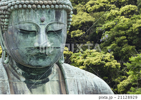The Great Buddha on the grounds of Kotokuin Temple 21128929