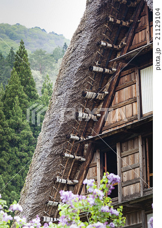 Traditional Japanese village Ogimachi Shirakawa 21129104