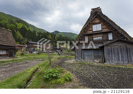 Traditional Japanese village Ogimachi Shirakawa 21129116