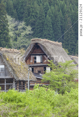 Traditional Japanese village Ogimachi Shirakawa 21129124
