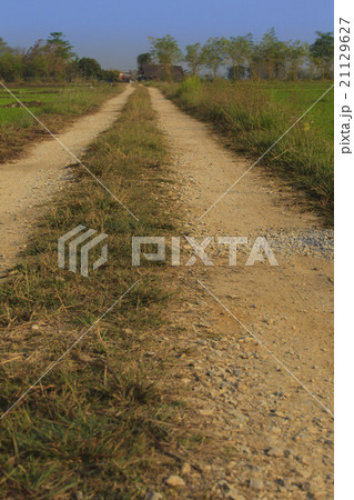 Countryside road 21129627