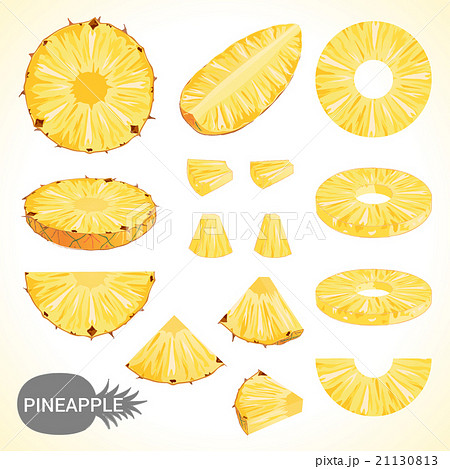 Set Of Pineapple In Various Styles Vector Formatのイラスト素材