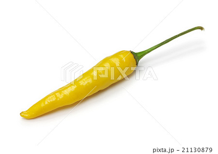 黄色い唐辛子 21130879