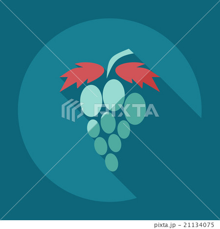 Flat modern design with shadow icons grapes Flat modern design with shadow icons grapes 21134075