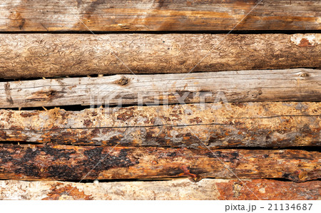 Old rough wooden planks with cracks as background Old rough wooden planks with cracks as background 21134687