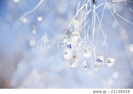 キラキラ 21136428