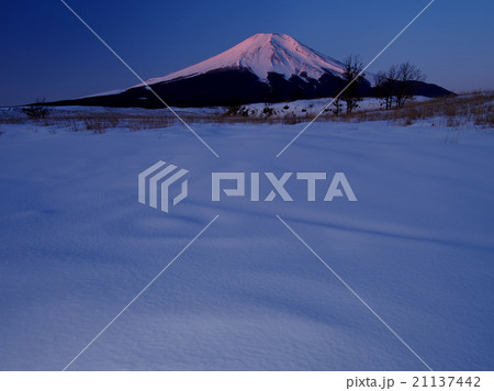 厳冬梨ケ原の富士 厳冬梨ケ原の富士 21137442