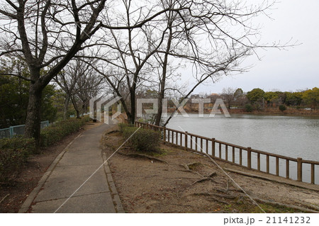 新池公園 21141232