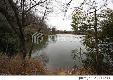 新池公園 新池公園 21141233