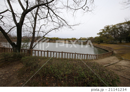 新池公園 新池公園 21141234