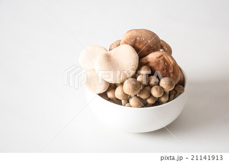 3種のきのこ 2 3種のきのこ 2 21141913