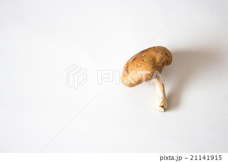 1本のしいたけ 21141915