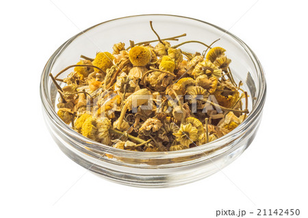 カモミールのハーブ　 Herb tea of the chamomile 21142450
