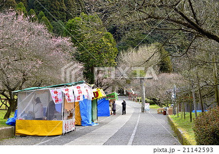 藤川天神 21142593