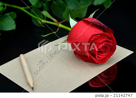 valentine single beautiful rose valentine single beautiful rose 21142747