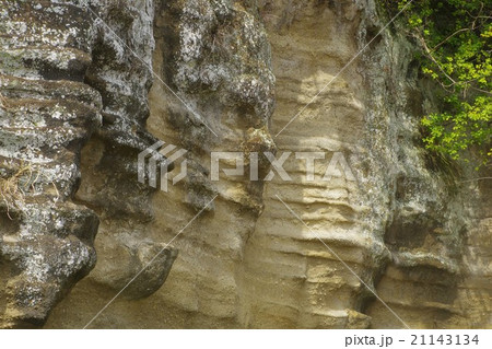 お猿畠の大切岸 お猿畠の大切岸 21143134