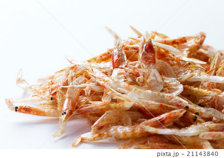 桜エビ6 21143840
