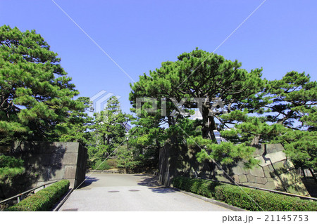 江戸城　天神濠 21145753