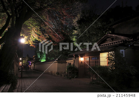京都 紅葉シーズンの寧々の道 21145948