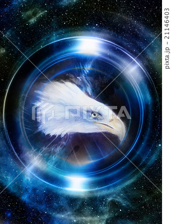 eagle in cosmic space and light circle. original 21146403