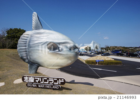 志摩マリンランド　水族館　伊勢志摩観光　賢島 21146993