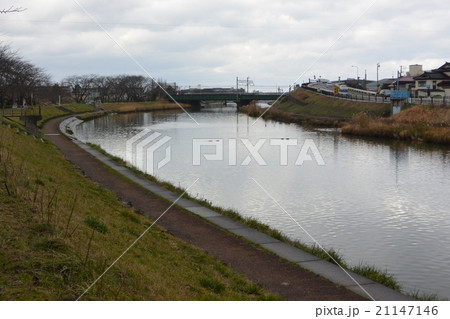 酒田市にある新井田川 21147146