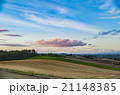 美瑛の畑と空 21148385