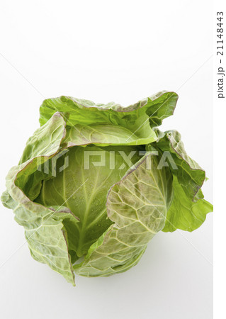 まるごとキャベツ俯瞰 まるごとキャベツ俯瞰 21148443