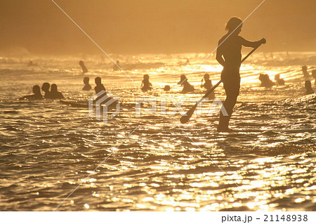 夕暮れ時のボンダイビーチ 21148938