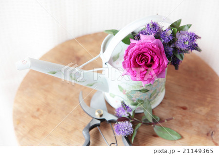 剪定バサミとバラ 21149365