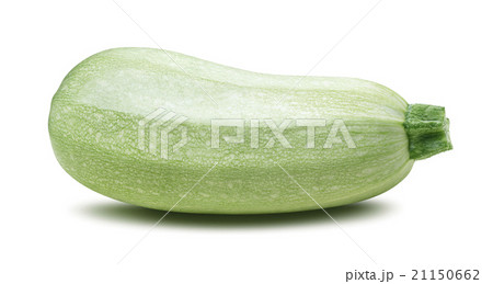 Single squash vegetable marrow zucchini isolated 21150662