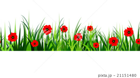 Green Grass seamless poppy Green Grass seamless poppy 21151480