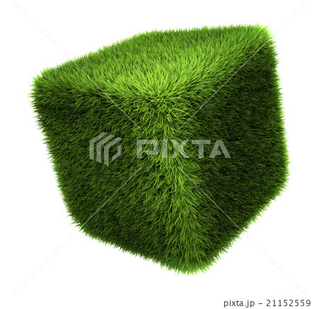 Grass Cube 21152559
