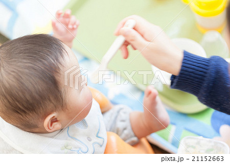 6 months old 6 months old 21152663