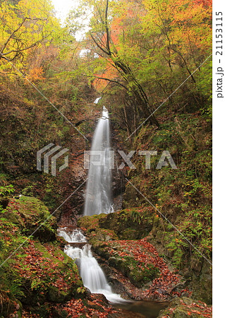 払沢の滝 紅葉 払沢の滝 紅葉 21153115