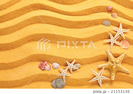 Yellow sand and seashells background. Yellow sand and seashells background. 21153130