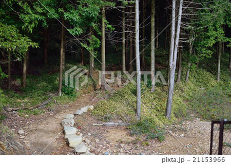 六甲山系徳川道 六甲山系徳川道 21153966