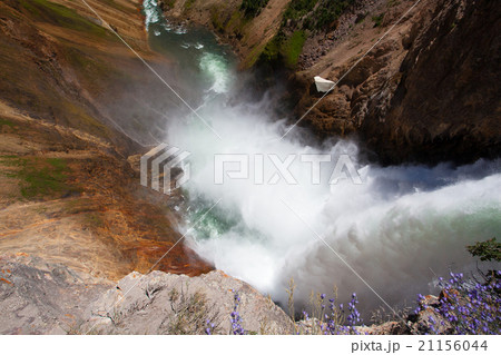 The Lower Falls inYellowstone National Park 21156044