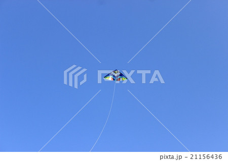 お正月 青空の下で凧揚げ お正月 青空の下で凧揚げ 21156436