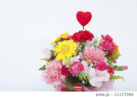 カーネーションの花束 白背景 カーネーションの花束 白背景 21157080